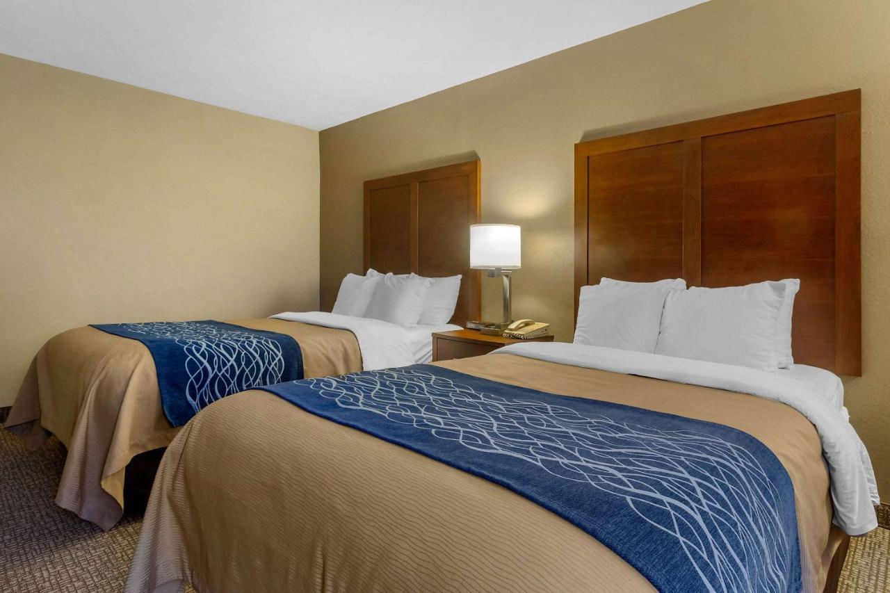 Comfort Inn Bristol Ngoại thất bức ảnh